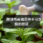 跨境电商简历中不可忽视的技能(图3) 跨境电商简历中不可忽视的技能(图3)