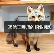 通信工程师的职业规划（图3）