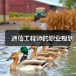 通信工程师的职业规划（图4）