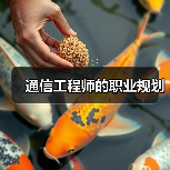 通信工程师的职业规划（图2）