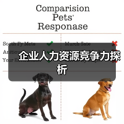 企业人力资源竞争力探析（图1）