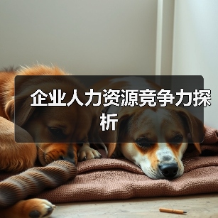 企业人力资源竞争力探析（图2）