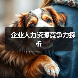 企业人力资源竞争力探析（图3）