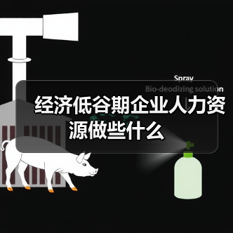 经济低谷期企业人力资源做些什么（图2）
