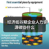 经济低谷期企业人力资源做些什么（图3）