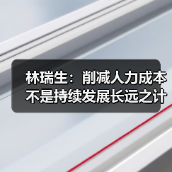 林瑞生：削减人力成本 不是持续发展长远之计（图4）