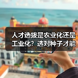 人才选拔是农业化还是工业化？选对种子才能扎根成长（图1）