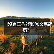 没有工作经验怎么写简历?(图4) 没有工作经验怎么写简历?(图4)