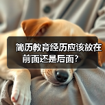 简历教育经历应该放在前面还是后面?(图4) 简历教育经历应该放在前面还是后面?(图4)