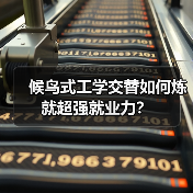 候鸟式工学交替如何炼就超强就业力？（图4）