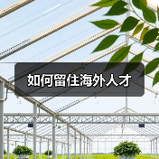 如何留住海外人才（图4）