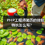 PHP工程师简历的技能特长怎么写？（图4）