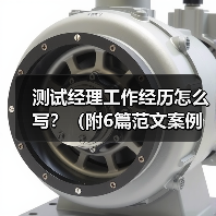 测试经理工作经历怎么写？（附6篇范文案例）（图1）