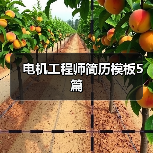电机工程师简历模板5篇（图2）