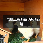 电机工程师简历模板5篇（图3）