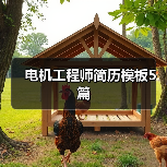 电机工程师简历模板5篇（图4）