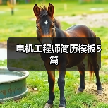 电机工程师简历模板5篇（图1）