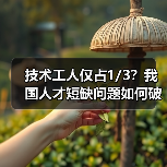 技术工人仅占1/3？我国人才短缺问题如何破解？（图4）