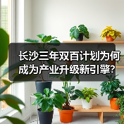 长沙三年双百计划为何成为产业升级新引擎？（图1）
