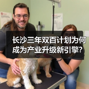 长沙三年双百计划为何成为产业升级新引擎？（图4）