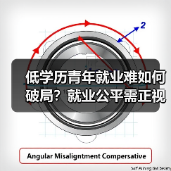 低学历青年就业难如何破局？就业公平需正视（图4）
