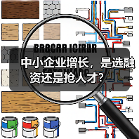 中小企业增长，是选融资还是抢人才？（图3）
