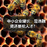 中小企业增长，是选融资还是抢人才？（图2）