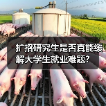扩招研究生是否真能缓解大学生就业难题?(图1) 扩招研究生是否真能缓解大学生就业难题?(图1)