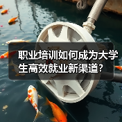 职业培训如何成为大学生高效就业新渠道？（图4）