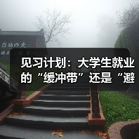 见习计划：大学生就业的“缓冲带”还是“避风港”？（图3）