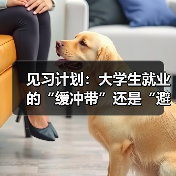 见习计划：大学生就业的“缓冲带”还是“避风港”？（图4）