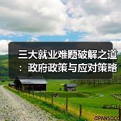 三大就业难题破解之道：政府政策与应对策略全解析（图2）