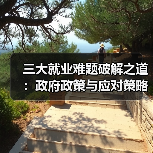 三大就业难题破解之道：政府政策与应对策略全解析（图1）