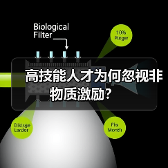 高技能人才为何忽视非物质激励？（图1）