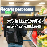 大学生就业难为何难？高端产业滞后成关键（图2）