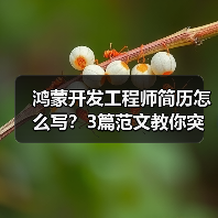 鸿蒙开发工程师简历怎么写?3篇范文教你突出技术优势(图1) 鸿蒙开发工程师简历怎么写?3篇范文教你突出技术优势(图1)