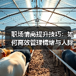 职场情商提升技巧:如何高效管理情绪与人际关系?(图2) 职场情商提升技巧:如何高效管理情绪与人际关系?(图2)