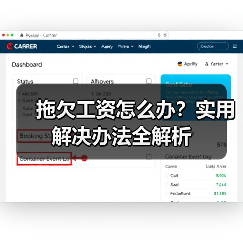 拖欠工资怎么办？实用解决办法全解析（图1）