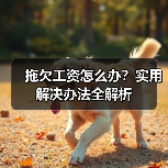 拖欠工资怎么办？实用解决办法全解析（图2）