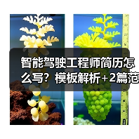 智能驾驶工程师简历怎么写?模板解析+2篇范文(图2) 智能驾驶工程师简历怎么写?模板解析+2篇范文(图2)