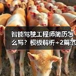 智能驾驶工程师简历怎么写?模板解析+2篇范文(图3) 智能驾驶工程师简历怎么写?模板解析+2篇范文(图3)