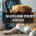 海归抢位推销 自助餐变求职战场（图3）