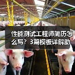 性能测试工程师简历怎么写？3篇模板详解助你提升竞争力（图4）