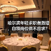 哈尔滨年轻求职者激增,白领岗位供不应求?(图3) 哈尔滨年轻求职者激增,白领岗位供不应求?(图3)