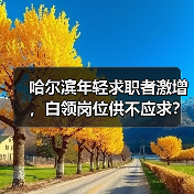 哈尔滨年轻求职者激增,白领岗位供不应求?(图4) 哈尔滨年轻求职者激增,白领岗位供不应求?(图4)