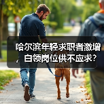 哈尔滨年轻求职者激增,白领岗位供不应求?(图2) 哈尔滨年轻求职者激增,白领岗位供不应求?(图2)
