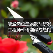 哪些岗位最紧缺?研发工程师韩语翻译成热门人才需求(图2) 哪些岗位最紧缺?研发工程师韩语翻译成热门人才需求(图2)