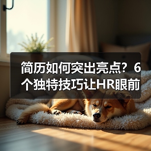 简历如何突出亮点？6个独特技巧让HR眼前一亮（图4）