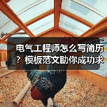 电气工程师怎么写简历？模板范文助你成功求职！（图3）