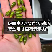 应届生无实习经历简历怎么写才更有竞争力？（图2）